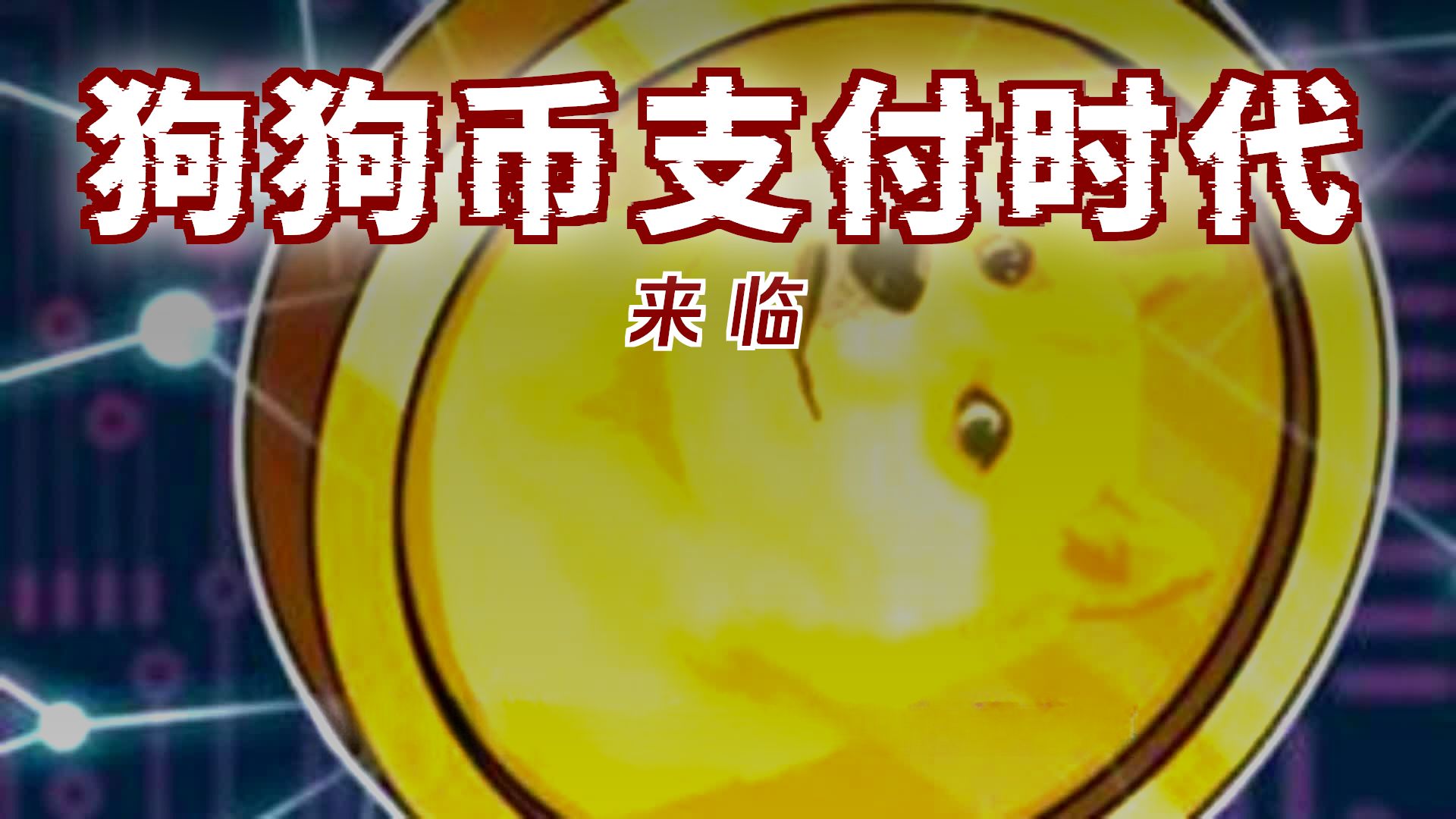 包含专家称币安币将在年底冲破27.83美元，引发引发关注，引爆行情的词条