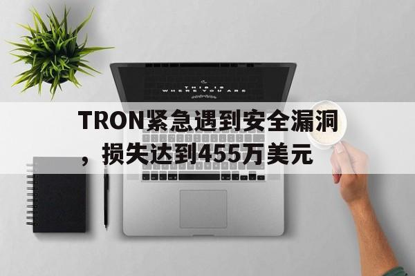 包含TRON紧急遇到安全漏洞，损失达到455万美元的词条-爱游戏官网