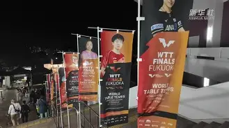 F1半决赛上演强强对话，关东犀牛队鏖战皖南飞鹰队，多点开花奏效；逆风翻盘的范本的简单介绍